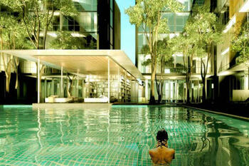 Ficus Lane : ไฟคัส เลน