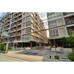 The Link Sukhumvit 50 : เดอะ ลิงค์ สุขุมวิท 50