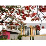 @City Condominium : แอท ซิตี้ คอนโดมิเนียม