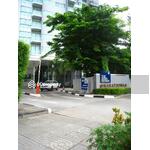 The Star Estate @ Narathiwas : เดอะ สตาร์ เอสเตท แอท นราธิวาสราชนครินทร์