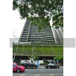 Noble Solo : โนเบิล โซโล่