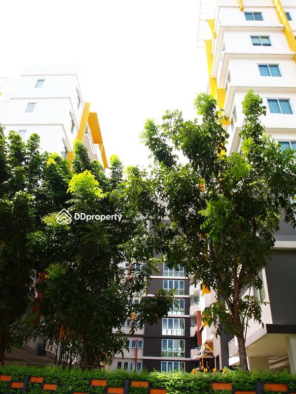 My Condo Sukhumvit 52 : มายคอนโด สุขุมวิท 52 #0
