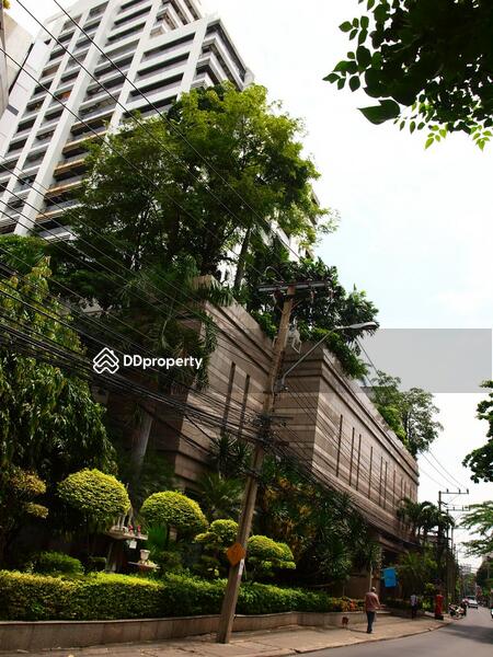 For Rent - The Natural Place Suite, Bangkok