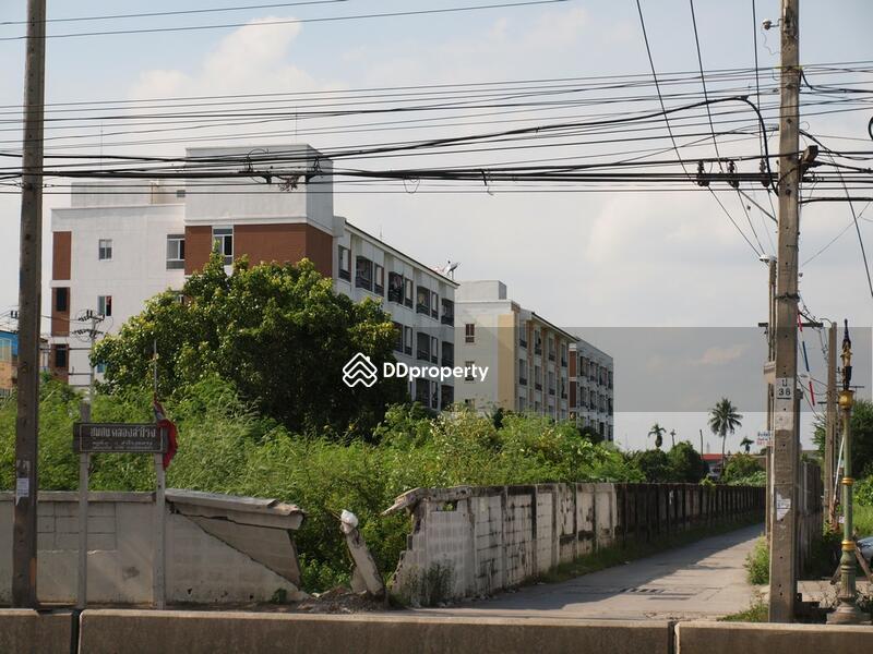 ให้เช่า - The Cache Rama 3-Samrong : เดอะแคช พระราม 3 สำโรง, สมุทรปราการ