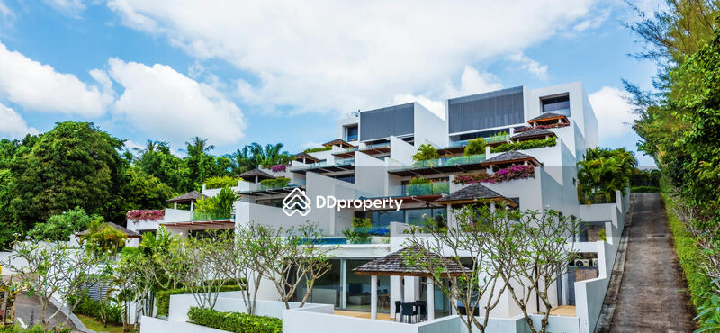 ให้เช่า - Lotus Gardens : โลตัส การ์เดนส์, ภูเก็ต