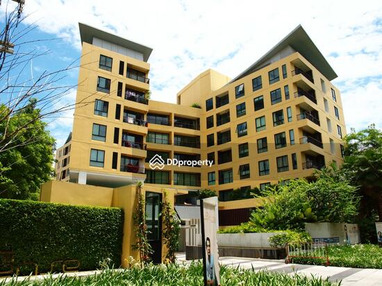 ให้เช่า - The Sense Sukhumvit : เดอะ เซนส์ สุขุมวิท, กรุงเทพ
