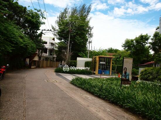 ให้เช่า - The Sense Sukhumvit : เดอะ เซนส์ สุขุมวิท, กรุงเทพ