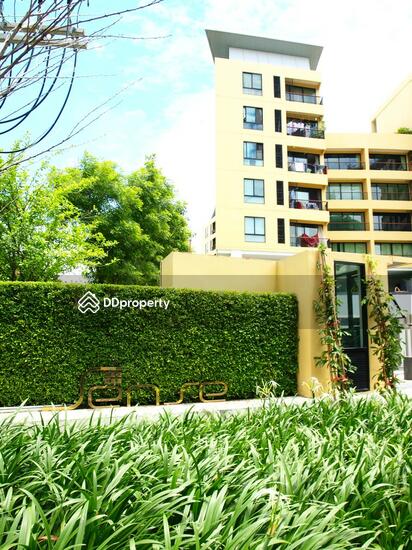 ให้เช่า - The Sense Sukhumvit : เดอะ เซนส์ สุขุมวิท, กรุงเทพ
