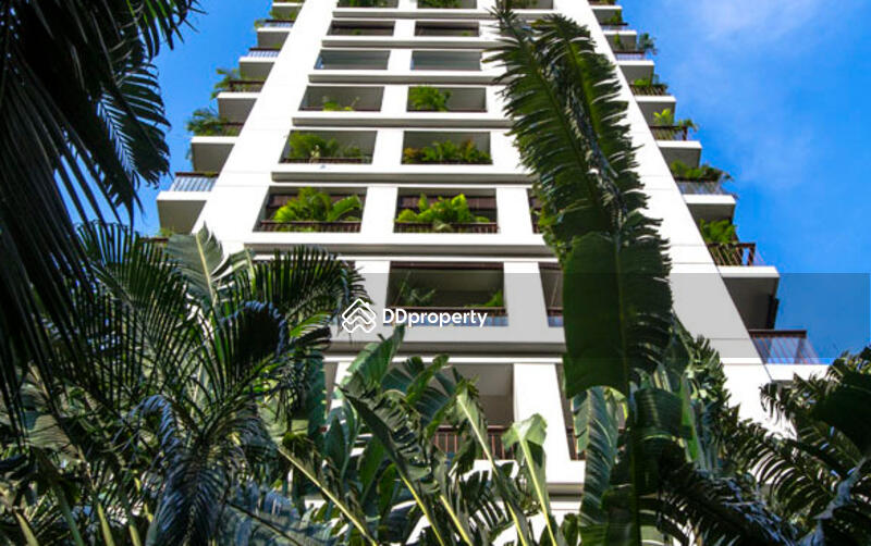 ให้เช่า - Panburi Apartments : พันธุ์บุรี คอนโด, กรุงเทพ