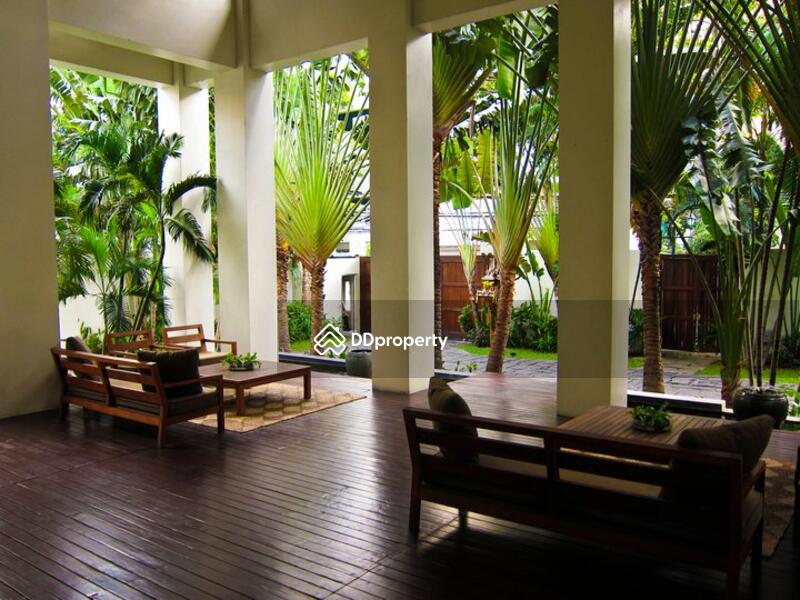 ให้เช่า - Panburi Apartments : พันธุ์บุรี คอนโด, กรุงเทพ