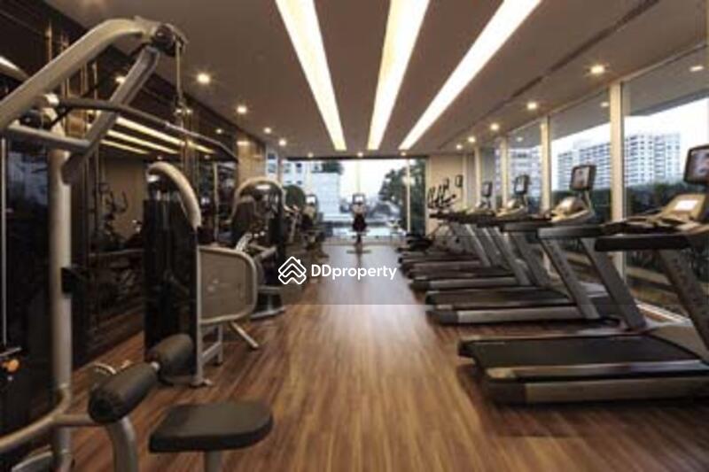ให้เช่า - Ivy Thonglor : ไอวี่ ทองหล่อ, กรุงเทพ