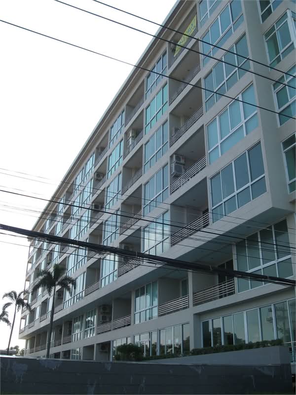 Musselana : มัสเซลลาน่า