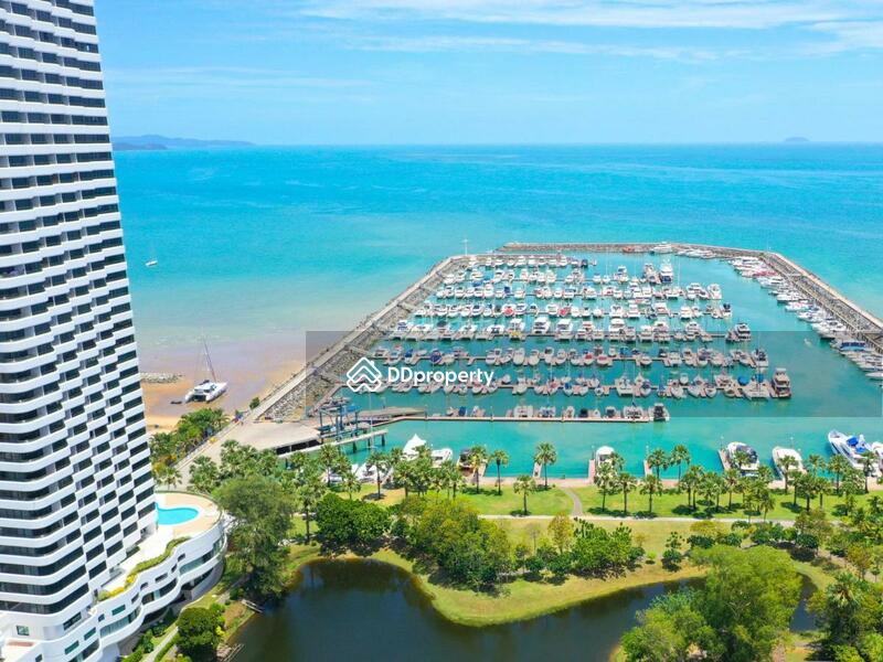 ให้เช่า - Ocean Marina Yacht Club : โอเชี่ยน มารีน่า ยอร์ช คลับ, ชลบุรี