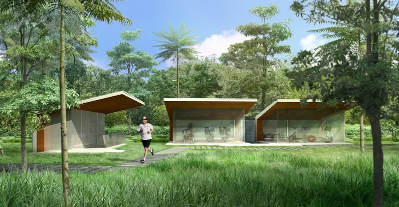 Oasis Garden