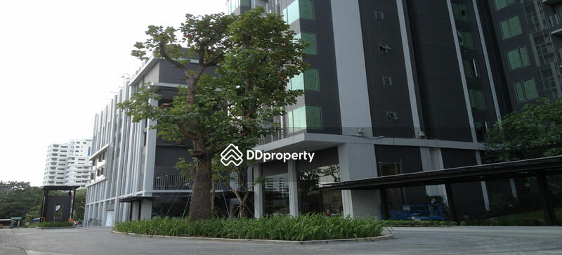 For Rent - CEIL by Sansiri, Bangkok
