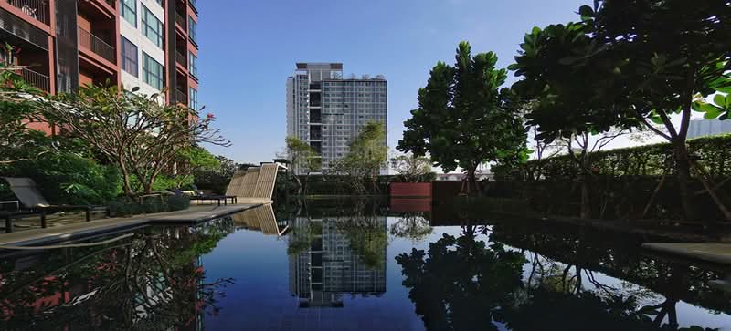 Wyne Sukhumvit