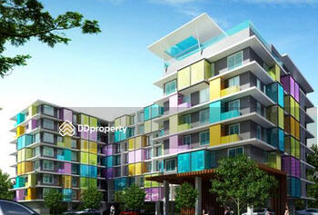 The Colory Vivid : เดอะ คัลเลอร์ลี่ วิวิด