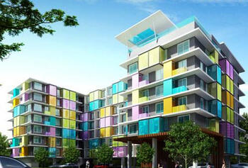 The Colory Vivid : เดอะ คัลเลอร์ลี่ วิวิด