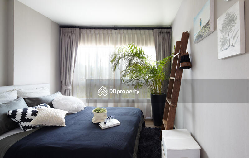 For Rent - Dcondo Creek Phuket, Phuket
