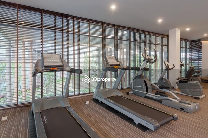 For Rent - Dcondo Creek Phuket, Phuket