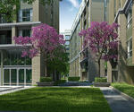 Dcondo Campus Resort Ratchapruek-Charan 13 : ดีคอนโด แคมปัส รีสอร์ท ราชพฤกษ์-จรัญฯ13 #0