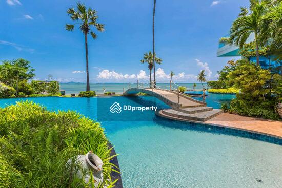 ขาย - The Palm Wongamat Beach : เดอะ ปาล์ม วงศ์อมาตย์, ชลบุรี