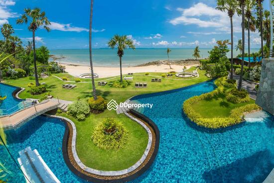 ขาย - The Palm Wongamat Beach : เดอะ ปาล์ม วงศ์อมาตย์, ชลบุรี