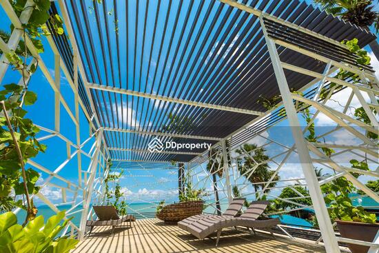 ขาย - The Palm Wongamat Beach : เดอะ ปาล์ม วงศ์อมาตย์, ชลบุรี