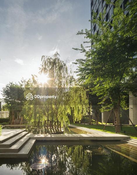 ให้เช่า - Noble Ploenchit : โนเบิล เพลินจิต, กรุงเทพ