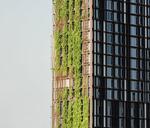 ASHTON Morph 38 : แอชตัน มอร์ฟ 38 #0