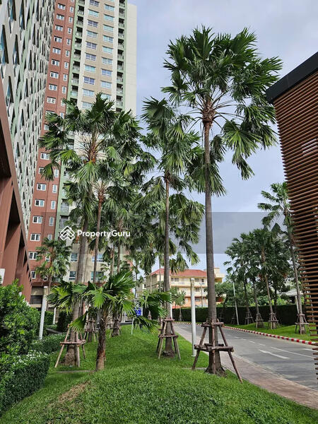 ให้เช่า - Lumpini Place Srinakarin-Huamak Station : ลุมพินี เพลส ศรีนครินทร์-หัวหมาก สเตชั่น, กรุงเทพ