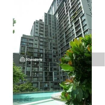 The Seed Mingle Sathorn-Suanplu