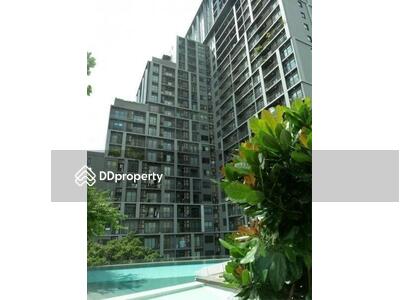  - The Seed Mingle Sathorn-Suanplu : เดอะ ซี้ดมิงเกิ้ล สาทร-สวนพลู