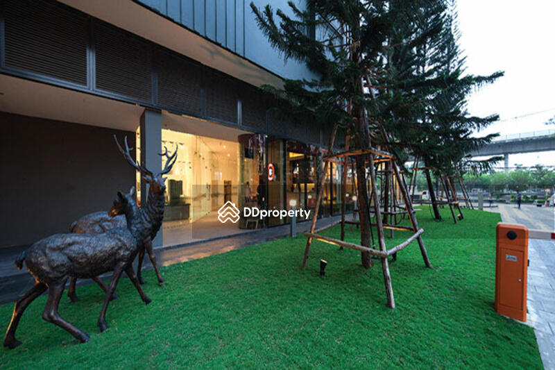 ขาย - IDEO Sathorn Tha Phra : ไอดีโอ สาทร-ท่าพระ, กรุงเทพ