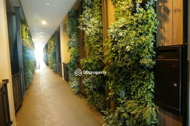 For Rent - A Space ID Asok-Ratchada, Bangkok