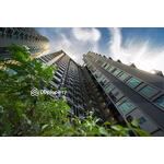 ขาย - The Crest Sukhumvit 34 : เดอะ เครสท์ สุขุมวิท 34, กรุงเทพ