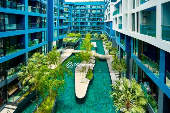 ขาย - Acqua Condo : แอคควา คอนโด, ชลบุรี