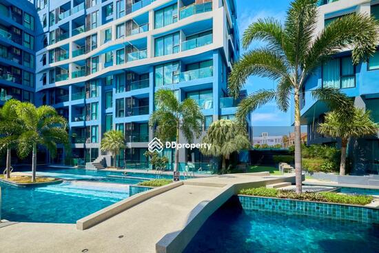 ขาย - Acqua Condo : แอคควา คอนโด, ชลบุรี