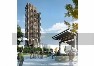 - Siamese Queens (ไซมิส ควีนส์)