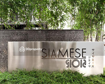 Siamese Gioia : ไซมิส จอยญ่า