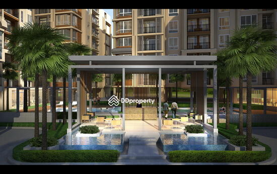 For Sale - Siamese Nang Linchee, Bangkok