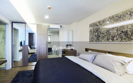 For Sale - Siamese Nang Linchee, Bangkok