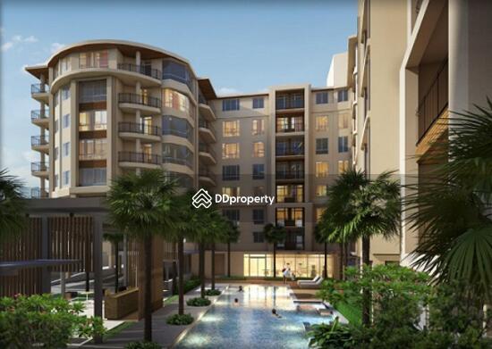 For Sale - Siamese Nang Linchee, Bangkok