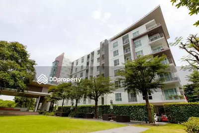 - Serene Lake North 8