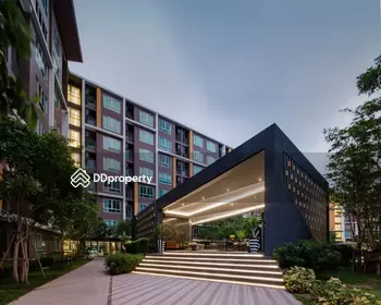 Dcondo Campus Resort Bangsaen : ดีคอนโด แคมปัส รีสอร์ท บางแสน