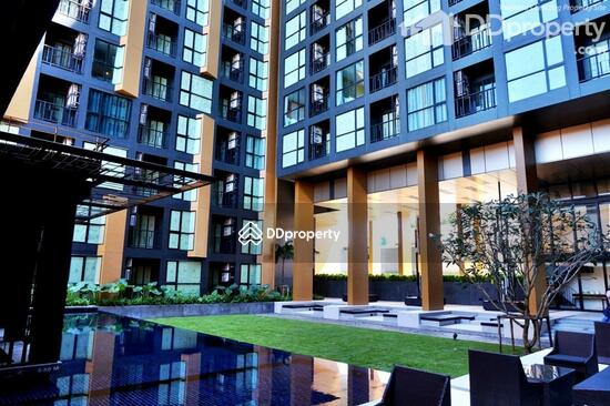 ให้เช่า - The Base Height Phuket : เดอะเบส ไฮท์ ภูเก็ต, ภูเก็ต