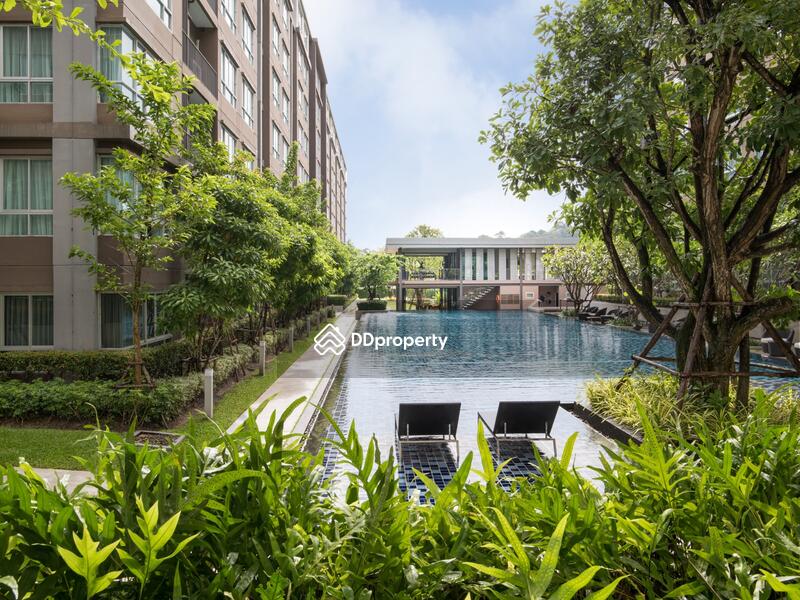ให้เช่า - Dcondo Campus Resort Kuku, ภูเก็ต