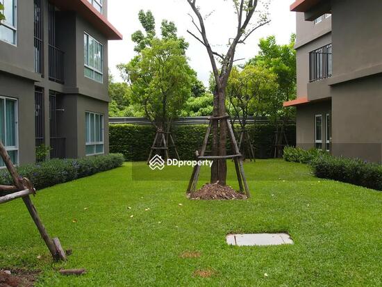 ให้เช่า - Dcondo Kathu-Patong : ดีคอนโด กะทู้-ป่าตอง, ภูเก็ต