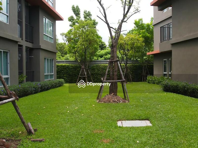 For Rent - Dcondo Kathu-Patong, Phuket