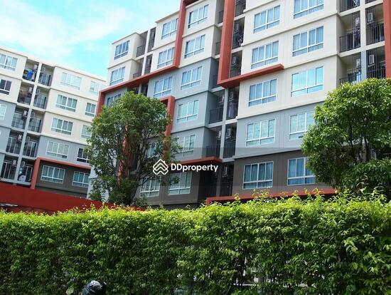 ให้เช่า - Dcondo Kathu-Patong : ดีคอนโด กะทู้-ป่าตอง, ภูเก็ต